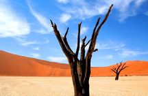 10-Day Namibia Highlights Guided Tour from Windhoek