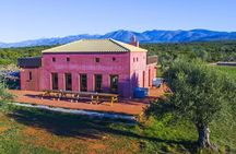 Farm-to-Table Cooking Class in an Organic Farm, Laconia, Greece!