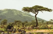 3 days Safari to Serengeti and Ngorongoro crater