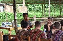 Half Day Visit Elephant Sanctuary in Samui