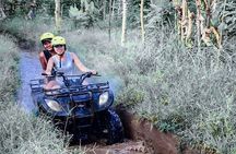 Bali Quad Bike Adventure - Monkey Forest- and Waterfall