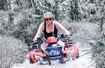 Bali Quad Bike Adventure - Monkey Forest- and Waterfall
