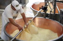 From Parma: Parmigiano Reggiano Farm Tour & Tasting with Transfer
