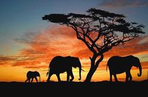 Private Nature Trip in Sri Lanka