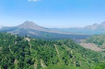 Ubud Hot Springs and Waterfall Private Guided Tour 