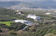 Wine, Beer, Olive Oil Tasting Private Tour (price per group of 6)