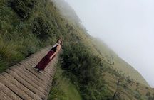 Private Nature Trip in Sri Lanka