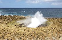 Curacao Private Tour and Activity Experience (4 up to 13 people)