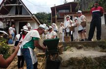 Coffee Tour & comuna 13 & cable car