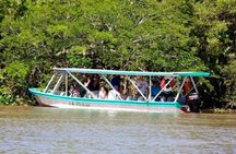 Tamarindo Estuary Boat Safari