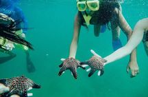 Tamarindo Kayaking Tour with Snorkeling at Captain Island