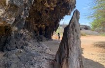 Indian Inscriptions Tour with Local Guide