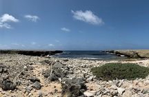 Indian Inscriptions Tour with Local Guide