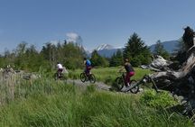 Squamish Discovery Eco-tour