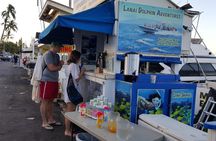 Maui's Best Lanai Snorkel and Dolphin Raft Adventure 