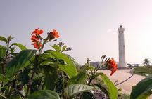 Private Island Tour at Your Leisure