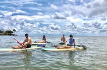 Saint Petersburg Paddle Board Tour 