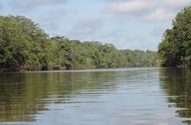 Amazon Paradise Pacaya Samiria National Reserve 5 Days 4 nights