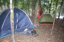 Amazon Paradise Pacaya Samiria National Reserve 5 Days 4 nights