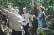 Amazon Paradise Pacaya Samiria National Reserve 5 Days 4 nights