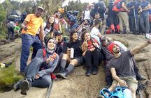 7 days Shira route Climbing Mt. Kilimanjaro