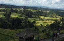 UNESCO World Heritage Tour
