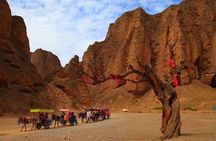 Lanzhou Private Day Tour to Yellow River Stone Forest 