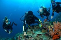 Fun Diving Tulamben Bali - For Certified Divers