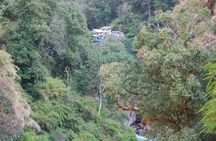 Langtang Valley Trek - 8 Days