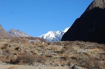 Langtang Valley Trek - 8 Days