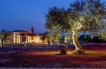 WIne & Olive Oil Tasting in an Organic Farm in Laconia, Greece!