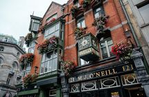 Full Coverage Dublin PRIVATE City Tour With Locals