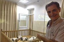 Chengdu Private Sightseeing Tour with Panda Breeding Center Visit