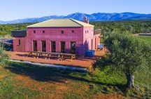 WIne & Olive Oil Tasting in an Organic Farm in Laconia, Greece!