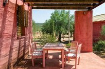WIne & Olive Oil Tasting in an Organic Farm in Laconia, Greece!