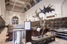 Tour to Indian Museum Kolkata