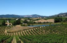From SF : -8hr- Private Wine Tour & Custom Concierge.XL SUV
