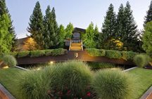 From SF : -8hr- Private Wine Tour & Custom Concierge.XL SUV