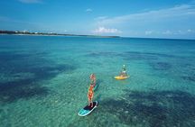 Ocean Bay Paddleboard Tour 