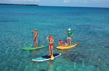 Ocean Bay Paddleboard Tour 