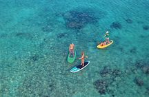 Ocean Bay Paddleboard Tour 