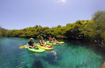 Paddleboard Combo Tour Cenote + Ocean 