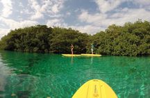 Paddleboard Combo Tour Cenote + Ocean 