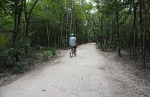 VIP Coba Private Tour