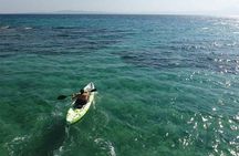 Guided half-day kayak tour