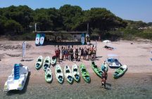 Guided half-day kayak tour