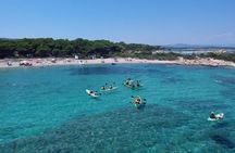 Guided half-day kayak tour