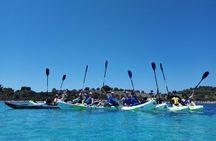 Guided half-day kayak tour