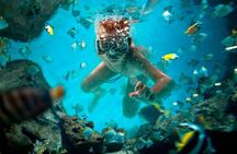 Combo Shared Experience Tour Package in Cancun - Swim & Fly 