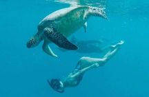 Waikiki Turtle Snorkel & Sail combo on Hawea Catamaran